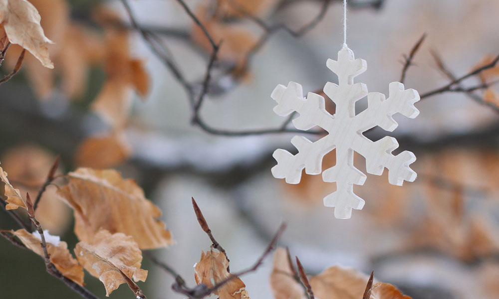 Waldfabrik Schneekristall - Baumschmuck aus Holz - an herbstlichem Zweig hängend